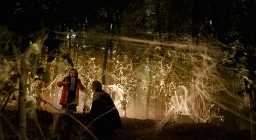 cobweb forest