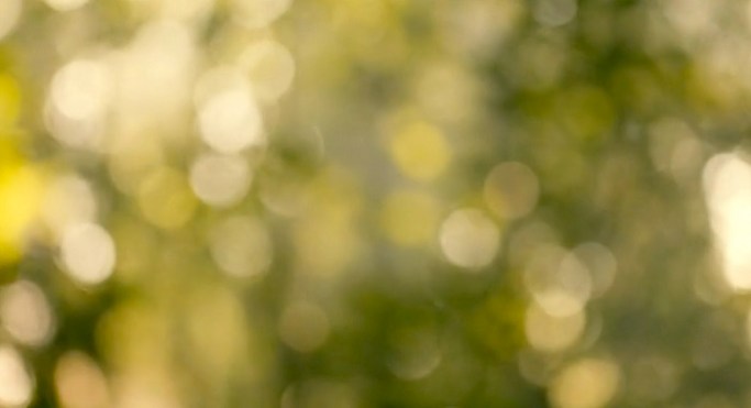 Screen Shot 2014-10-26 at 1.46.41 PM