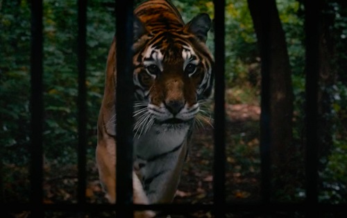 Screen Shot 2014-10-27 at 10.38.13 PM