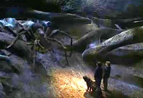 Harry, Ron, and Fang meet Aragog