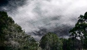 pencil Storm Them The Walking Dead