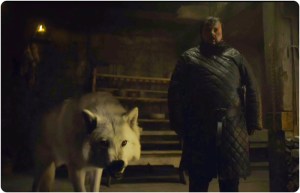 Ghost Sam Game of Thrones The Gift