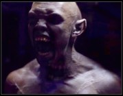 Abbey growl Wayward Pines Choices