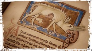 Chimera Bestiary Teen Wolf Terminal Condition