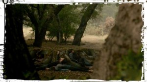 Nematon Teen Wolf LIes of Omission