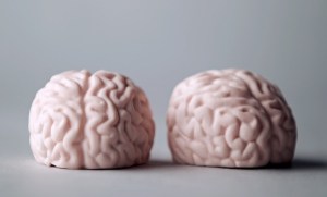 Brain Truffles from The Truffle Cottage