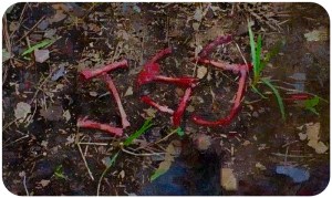 JSS Turtle guts The Walking Dead JSS