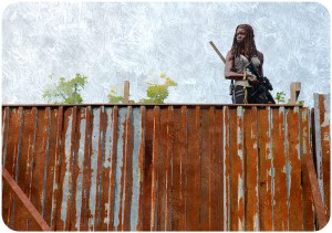 Michonne (Danai Gurira) The Walking Dead The Next World