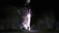 FIreworks in Heaven.gif