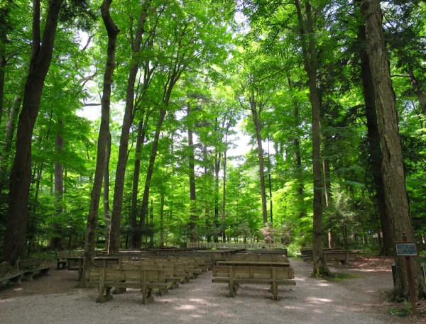 Lily Dale History inspirational stump