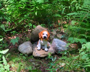 Lily Dale Pet Cemetery beagle