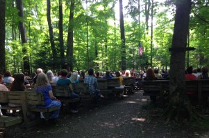 Lily Dale Leolyn Woods Inspirational Stump crop