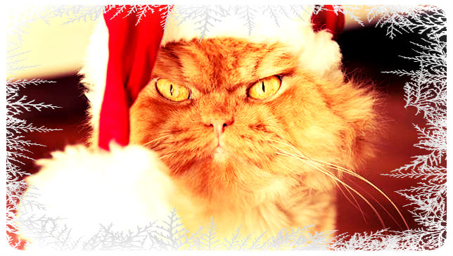 jolako%cc%88tturinn3