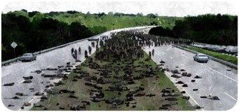 walkers-the-walking-dead-rock-in-the-road