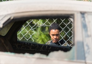 Sasha The Walking Dead The Other Side