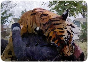 Shiva 2 The Walking Dead First Day