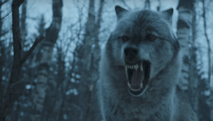 Nymeria Game of Thrones Stormborn