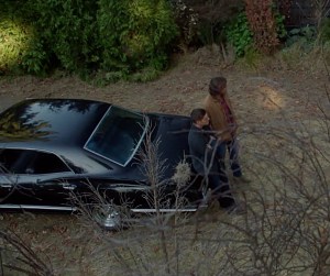 Impala trees Supernatural Advanced Thanatology